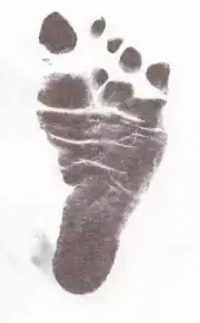 INKLESS IMPRINT KIT to take your child's foot, hand, finger imprints.ITS MAGIC