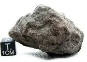 NWA 13116 H6 Chondrite Meteorite Rare type, Meteorite 52 Gram