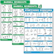 Palace Learning 3 Pack - Barbell Workout Posters Volume 1 & 2 + Stretching Exercise Chart - Set of 3 Posters (LAMINATED, 18" x 24")