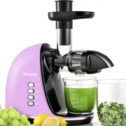 Slow Masticating Juicer,Cold Press Juicer with 2 Speed Modes & Quiet Motor,Ju...