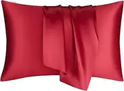 DISANGNI 100% Natural Mulberry Silk Pillow case for Hair and Skin with Hidden Zipper 22 Momme Both Sides Real Silk Pillow Case (1pc King Size 20" x36", Red)