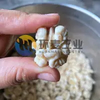 在飛比找蝦皮購物優惠-【台灣專供 拍前請聯繫客服】環麥核桃仁去皮機用途 多功能核桃