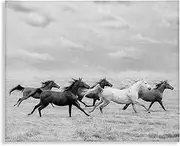 Stupell Industries Galloping Horse Herd Canvas Wall Art Design by PHBurchett, 20 x 16