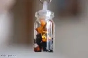Amber & Jet Crystals in Glastonbury Red Spring Well Water & Herkimer - Druid