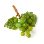 Realistic Artificial Grape Cluster Stem | 6 Pieces