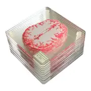 Brain Specimen Coasters Set 3D Organ Brain Artwork Brain Slices Square Acrylic Drinks Table Coaster As Shown
