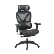 Maestro Furniture Lucia Fully Adjustable High Back Mesh Ergonomic Manager Office Chair W/ Headrest - Black