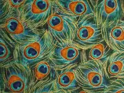 PEACOCK FEATHERS BLUE GREEN METALLIC GOLD FEATHERS COTTON FABRIC FQ