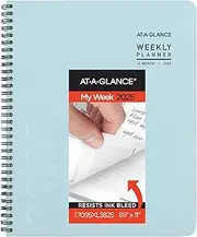 AT-A-GLANCE 2025 Planner, Weekly & Monthly, 8-1/4" x 11", Large, Contemporary Lite, Sky Blue (7095XL3825)