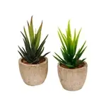 2 Pcs Simulation Succulent Potted Plant Fake Succulents Plants Aloe Artificial