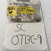 Genuine GM G10 G1500 Front Side Door Lock Remote Control Assembly 3956915