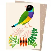 Earth Greetings Card - Desert Finch