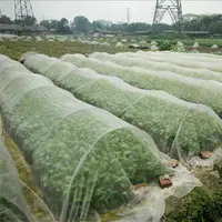 在飛比找樂天市場購物網優惠-家庭種植白色透氣防蟲網尼龍網有機蔬菜花卉之物理防蟲密度40目