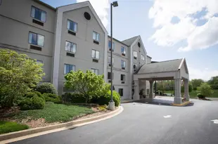 約翰遜城康福特套房酒店Comfort Suites Johnson City