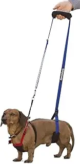 (X-Small - Male/Female) - GingerLead Dog Support & Rehabilitation Harnesses - Padded Dog Slings with Integrated Leash for Helping Old, Disabled, or Injured Dogs Walk