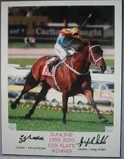 SUNLINE COX PLATE signed Print