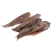 20Pc catappa leaves almond tree aquarium clean tool terminalia leaf ab.w7 CR