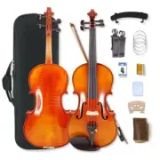 4 Strings Violin Set Acoustic Violin 4/4 Full Set Flamed Maple Spruce Ebony Fitt