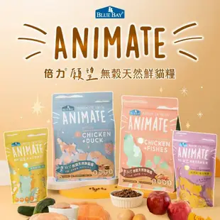 BLUE BAY 倍力 Animate 無穀貓飼料 挑嘴貓 室內貓 1.5kg - 艾爾發寵物 Alphapetstw