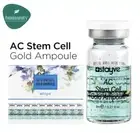 AUTHENTIC Stayve AC Stem Cell Gold Ampoule - 10pk