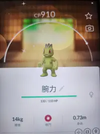 在飛比找露天拍賣優惠-【寶可夢獵人】Pokemon GO 寶可夢GO 腕力 異色 