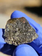 Meteorite**NWA 13788, Lunar Melt Breccia**2.329 gram, HIGHEST QUALITY SLICE!!!!