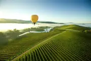 Ballooning the Yarra Valley Child - Yarra Valley