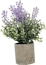 Generic 1pc Potted Plant Dried Lavender Home Decor Room Lavenders Artificial Plant House Decor Desk Decorations Aesthetic Faux Lavender Decorative Home Accessories Mini Desktop Pulp Green