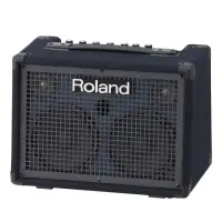 在飛比找momo購物網優惠-【ROLAND 樂蘭】KC-220 30W 鍵盤音箱(鍵盤音