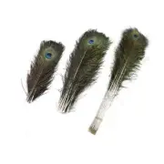 Real Peacock Tail Eyes Feathers - 100cm - 110 cm - 10 pieces