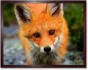 Baby Fox Portrait Woodland Animal Wildlife Art Print Framed Poster Wall Decor 12X16 Inch