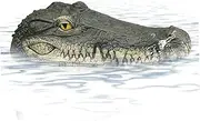 Blogiiup Alligator Pool Float, Pond Floating Alligator Outdoor Pools Duck Deterrents Float Fake Gator Crocodile for Koi Pools Decor, Alligator
