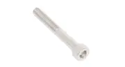 Rhino Rack M6 X 45mm Socket Head Screw (Stainless Steel) (4 Pack) - B038-BP