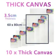 10x Large Thick Artist Blank Canvas Oil Acrylic Painting 60X80 Stretched Art