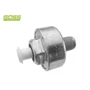 RAE Knock Sensor - K1507