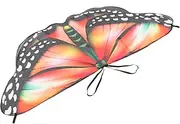 UPKOCH Butterfly Shawl Cape for Halloween Dress Up Chiffon Wings Costume Accessory for Boys for Cosplay and Gradient