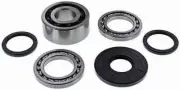 All Balls Front Differential Bearing Kit for Polaris RZR XP Turbo 18-20