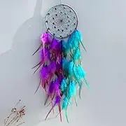 2 Colors Feathers Dream Catcher Handmade Woven Wall Hanging Dreamcatcher for Home Decor Bedroom Dormitory Room Wall Decor Art Ornament Craft, Blue Purple