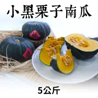 在飛比找台灣好農優惠-農友種苗 小黑栗子南瓜5公斤