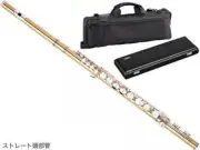 Yamaha YFL-A421 Alto Flute - Professional Model Gold Brass w case NEW