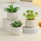 Mini Artificial Succulent Bonsai Fake Plants Simulation Bonsai Home Decor