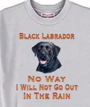 Dog T Shirt Men Women -- Black Labrador No Way Out Rain
