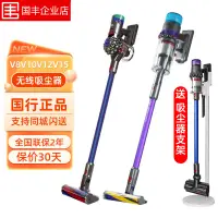 在飛比找露天拍賣優惠-dyson v8v10v11v12v15g5無線手持洗拖al