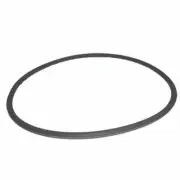 R0479000 O-Ring for SHPF/SHPM Pump For Jandy Zodiac Replacements