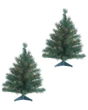 Sterling Tree Company Set Of 2 2Ft. Pre-Lit Colorado Spruce With 50 Ul Multi-Colored Lights Each