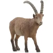 Schleich Wildlife Model - 14873 Ibex