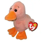 TY QUACKER JAX - Beanie Babies - Easter Duck NEW & MWMTs