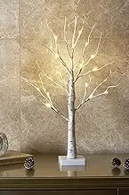 Australove Birch Tree, Money Tree Holder to Hold Gift Jewelry, Artificial Night Light Table Tree Lamp Great Decor for Home Christmas Party Festival Wedding