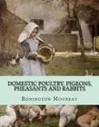 Domestic Poultry, Pigeons, Pheasants and Rabbits by Bonington Moubray (English)