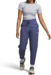 The North Face Women's Cave Blue Alpine Polartec 100 Joggers Pants SGN563